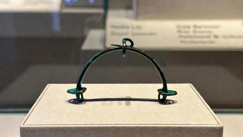 Fibula in bronzo ad arco semplice con patina verde